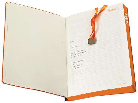 Ежедневник недатированный А5 «Mercury»