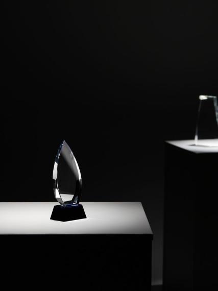 Награда Droplet