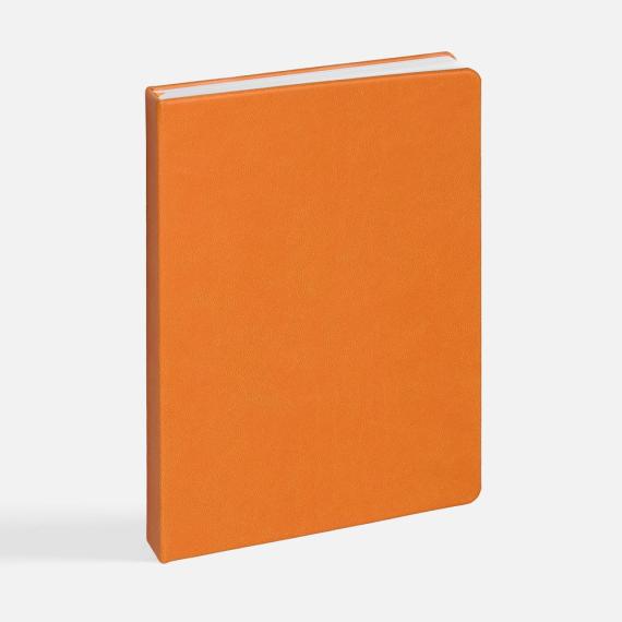 Ежедневник Basis, датированный, оранжевый