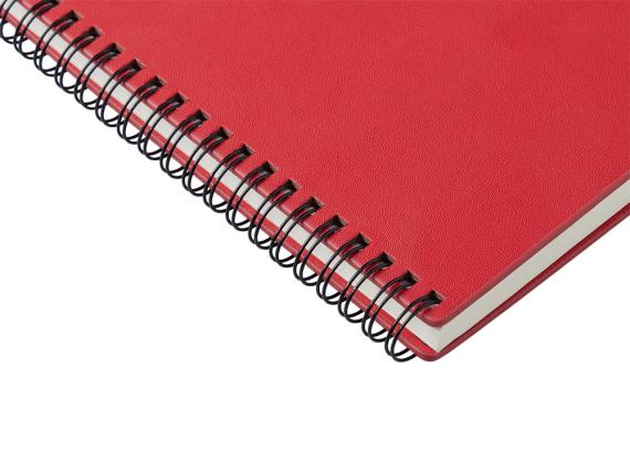 Блокнот А5 «Дантэ»